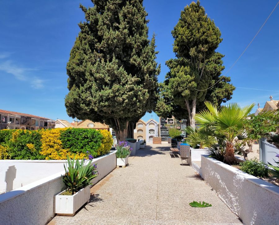 Paseo en el Cementerio Municipal de Tibi